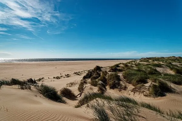 Niederlande — Landschaftseindruck
