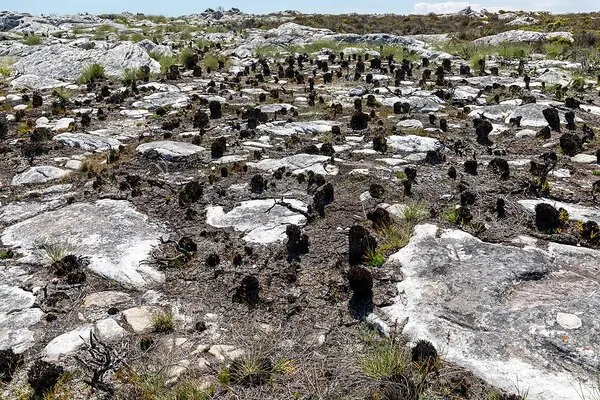 Südafrika — Landschaftseindruck